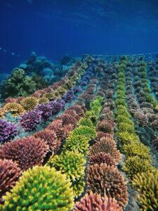 3a591002-bae6-4753-96c3-a9ef1c2dd46e