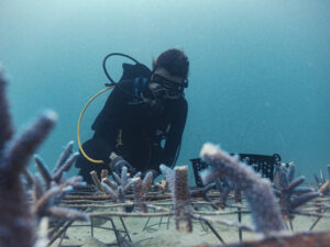 54-2503 ADB Palau_73